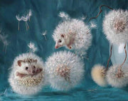 Hedgehog Dandelion Puffs - 5D Diamond Painting - 5D Diamond Painting - DIY Kits
