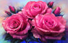 3-Of-A-Kind Rose - 5D Diamond Painting - 5D Diamond Painting - DIY Kits