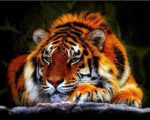 Lazy Tiger - 5D Diamond Painting - 5D Diamond Painting - DIY Kits