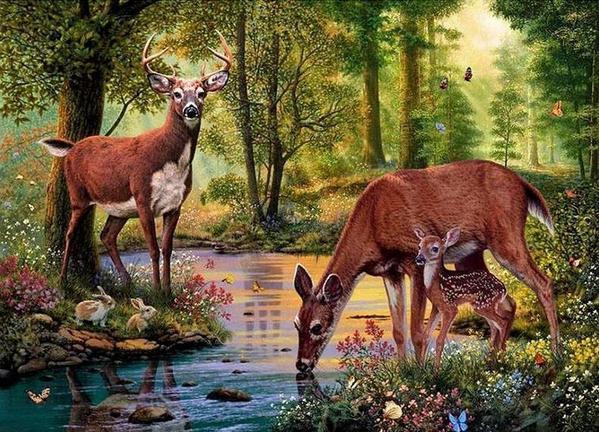 My Deer Family - 5D Diamond Painting - 5D Diamond Painting - DIY Kits