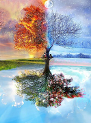 Branching tree Seasons - 5D Diamond Painting - 5D Diamond Painting - DIY Kits