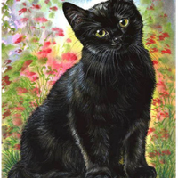 Black Cat and Flowers - 5D Diamond Painting - 5D Diamond Painting - DIY Kits