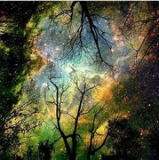 Flowing Branches - 5D Diamond Painting - 5D Diamond Painting - DIY Kits