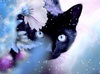 Black Cat  - 5D Diamond Painting - 5D Diamond Painting - DIY Kits