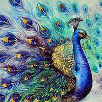 Peacock Display - 5D Diamond Painting - 5D Diamond Painting - DIY Kits