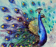 Peacock Display - 5D Diamond Painting - 5D Diamond Painting - DIY Kits