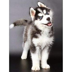 Lovely Husky Dog - 5D Diamond Painting - DIY Kits