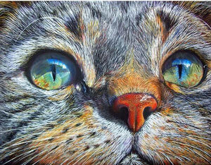 Cat Zen - 5D Diamond Painting - 5D Diamond Painting - DIY Kits